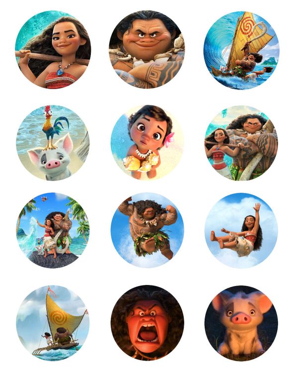 Moana Disney  Hei Hei Pua Maui  12 Count Cupcake Toppers Edible Cupcake Topper Images ABPID53490 Online