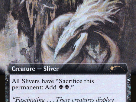 Basal Sliver (Extended Art) [Secret Lair Drop Promos] Online Hot Sale